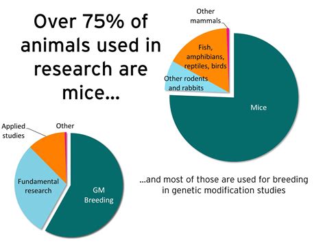 Facts and figures on animal testing .